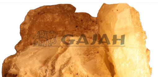 Copal Blanco / Protonium copa
