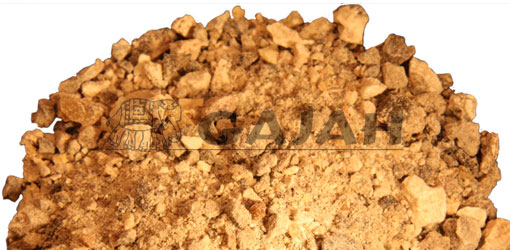 Copal nero Breuzinho / Protonium copal