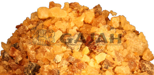 Copal Peru / Trattinickia spp.