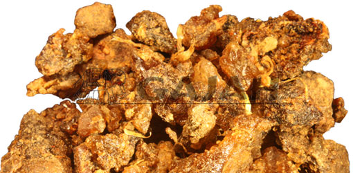 Guggul-Dhoop / Commiphora mukhul u.a.