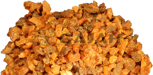 Myrrhe / Cinnamonum myrrha