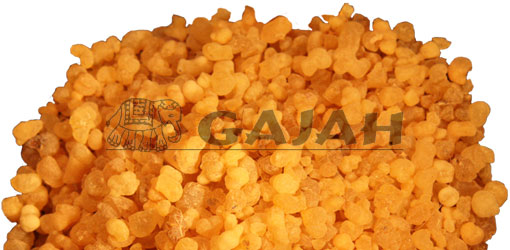 Olibanum Aden / Boswellia carteri
