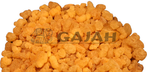 Olibanum Eritrea / Boswellia papyrifera