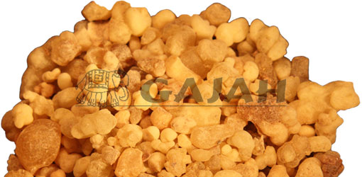 Olibanum Oman / Boswellia sacra