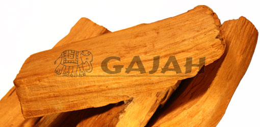 Palo Santo / Bursera graveolens